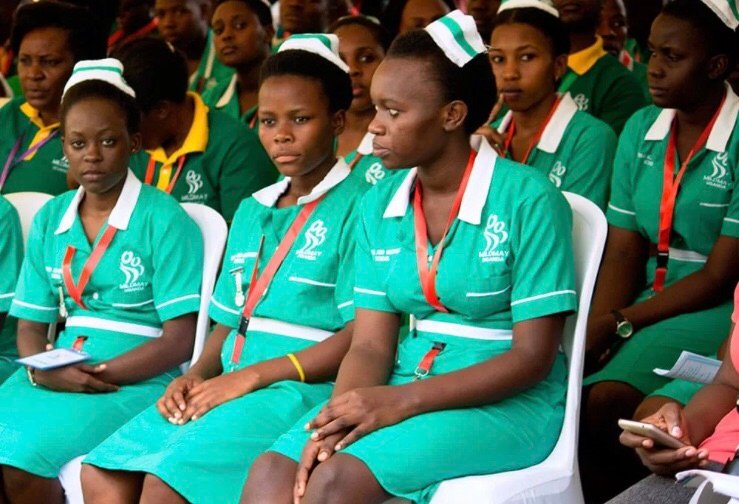 Schools Of Nursing In Kano State